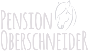 Pension Oberschneider mit Zimmern und Ferienwohnungen in Zell am See Kaprun